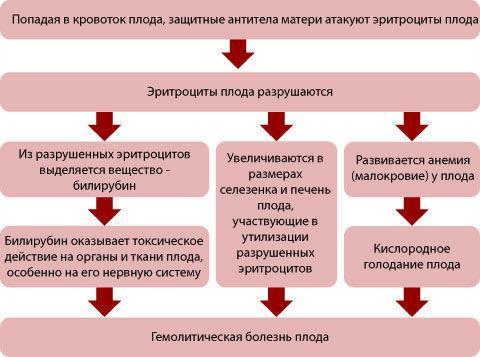 Совместимость крови для зачатия ребенка – таблица совместимости групп крови и резус факторов для зачатия