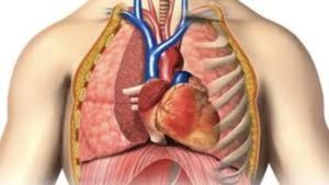 Боль в сердце при кашле - Всё о сердце