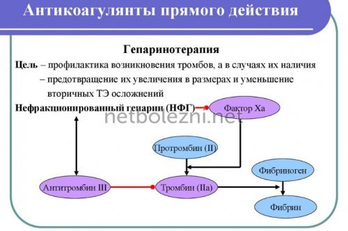 Антикоагулянты – механизм действия, список препаратов