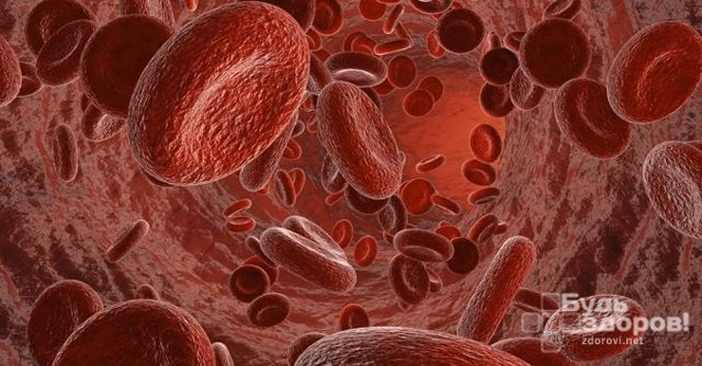 Общий (развернутый) анализ крови: что показывает, как сдавать