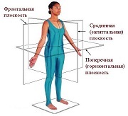 Чреспищеводная электростимуляция при стенокардии. Фармакологические пробы при стенокардии.