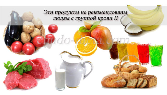Группа крови 2-ая положительная: совместимость, питание