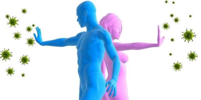 Повышены моноциты у взрослого: причины