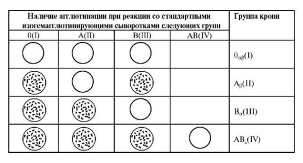 Определение резус фактора крови: анализ, методы, цоликлонами, по родителям