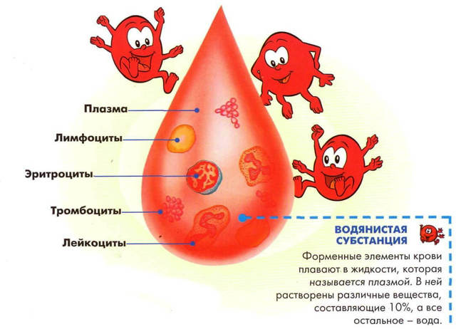 Повышены лейкоциты в крови у ребенка – причины, диагностика и способы лечения