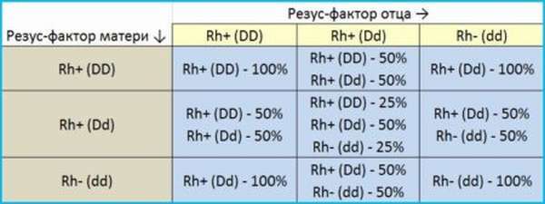 Какой резус фактор лучше – при переливании, беременности и наследовании?
