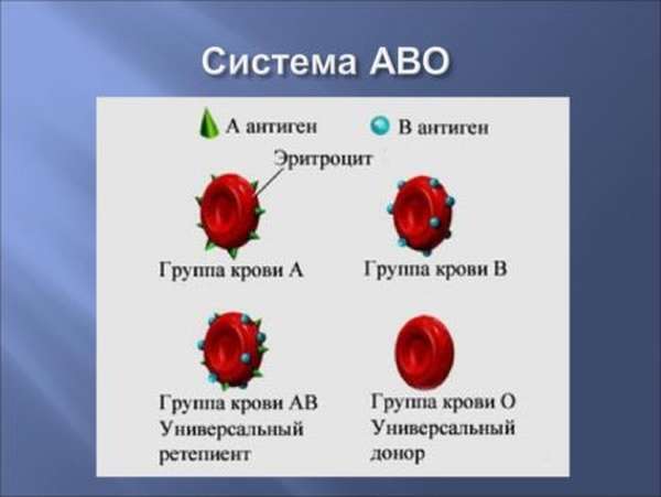 Самая распространенная группа крови и какой резус-фактор встречается чаще