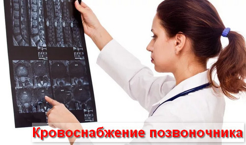 Инсульт спинного мозга (спинальный): симптомы, лечение, последствия