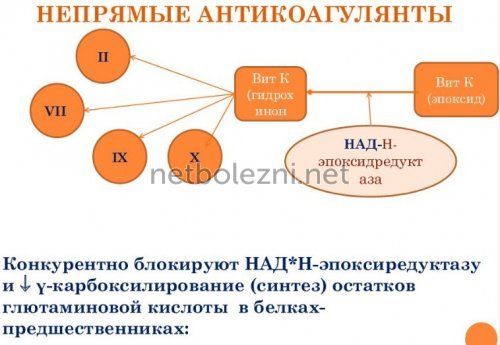 Антикоагулянты – механизм действия, список препаратов