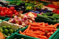 Мочевина в крови — что это такое, как лечить повышение мочевины