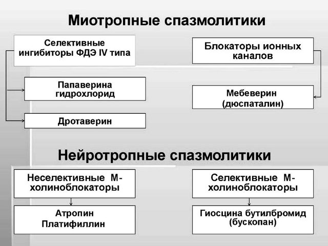 Препараты сосудистые для мозга. Новейшие сосудистые препараты