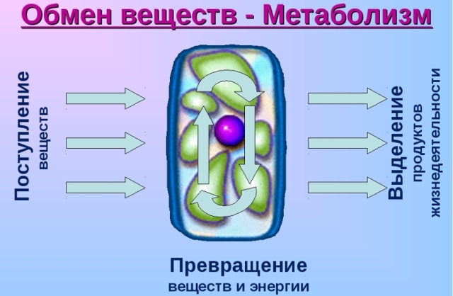 Кетопрофен цена в Томске от 70 руб., купить Кетопрофен, отзывы и инструкция по применению