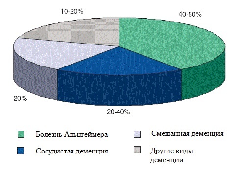 Сосудистая деменция: стадии, степени, диагностика