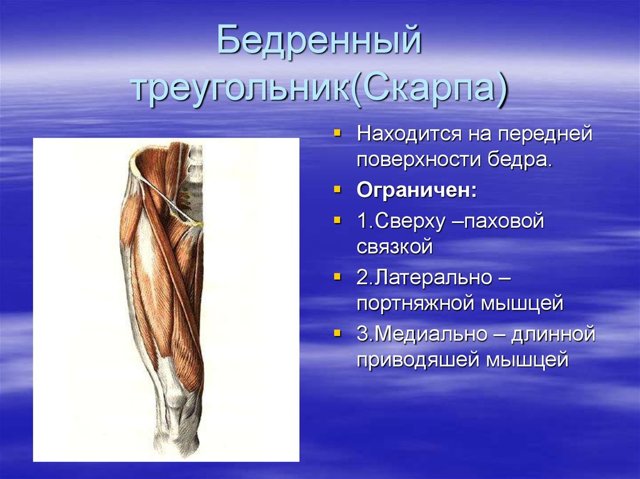 Разрыв бедренной артерии - вопрос №1905