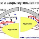 Адреналин – инструкция, показания, применение