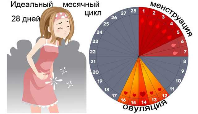 Месячные идут сгустками – причины и лечение патологии