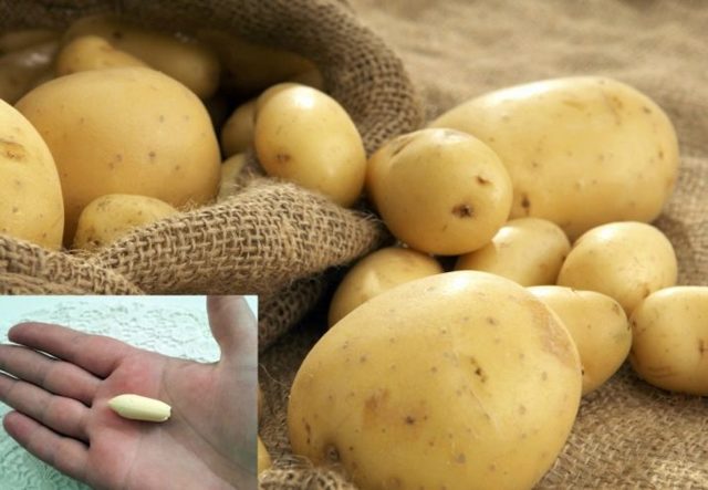 Лечение геморроя в домашних условиях быстро картофелем