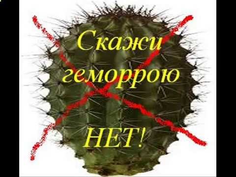 Температура при геморрое: может ли быть
