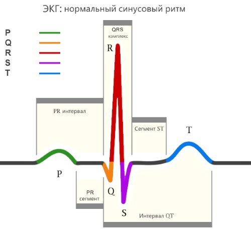 ЭКГ – диагностика состояния сердца. Показания к ЭКГ, что показывает исследование. Как делают ЭКГ