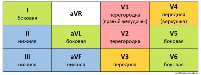 Стандартные отведения от конечностей - 1,2,3