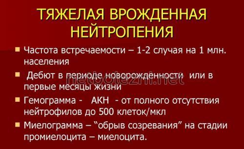Сегментоядерные нейтрофилы понижены