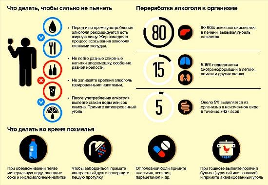 Сколько держится алкоголь в организме. Время выхода алкоголя из организма