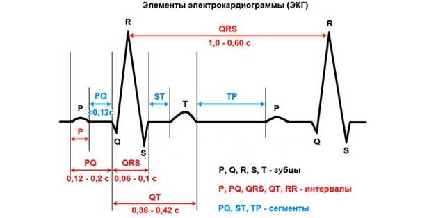 Экг отведения по слопаку - Лечение гипертонии