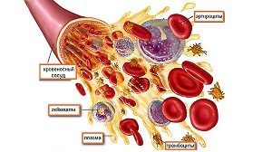 Расшифровка биохимического анализа крови – подготовка, проведение и анализ результатов