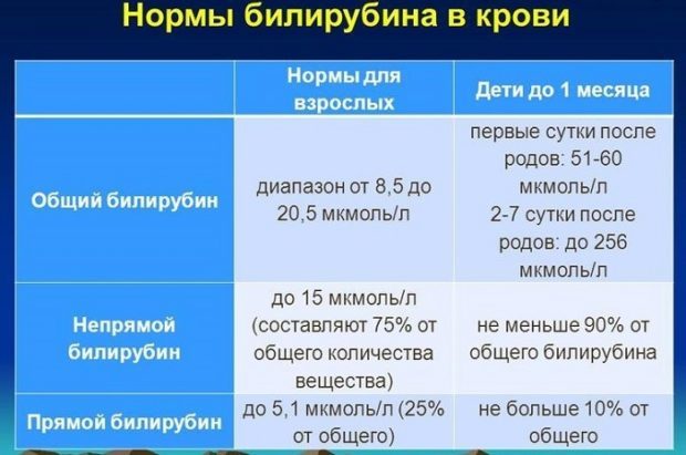 Непрямой билирубин в крови: норма и причины отклонений