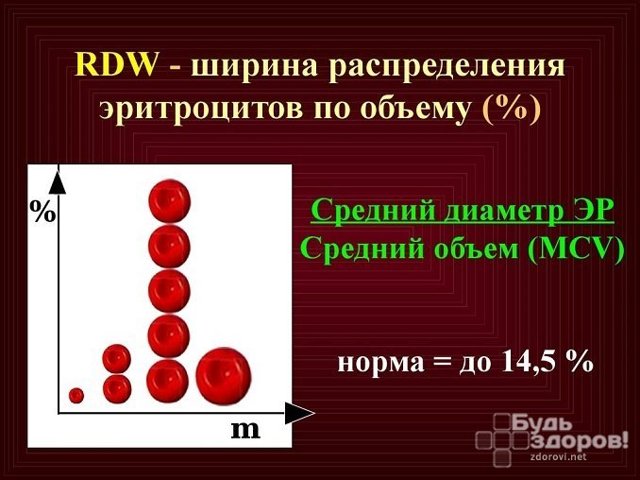 PCT в анализе крови: что это такое, расшифровка и норма у женщин, почему бывает понижена