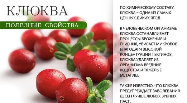 Продукты для очищения крови