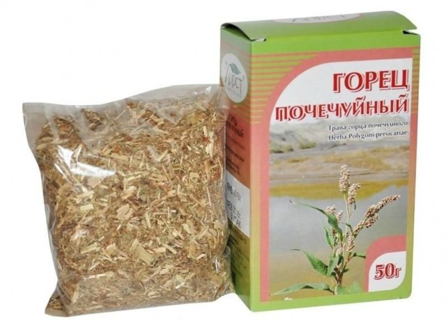 Народные рецепты: Горец почечуйный