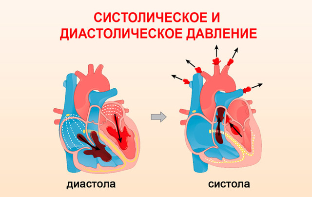 Что такое систолическое и диастолическое давление