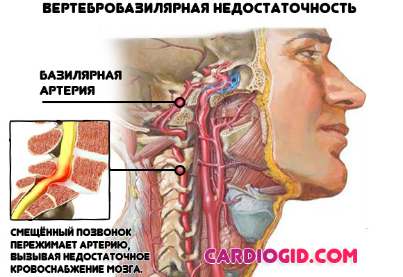 Почему давление высокое вечером. Почему повышается давление вечером. Народные методы лечения