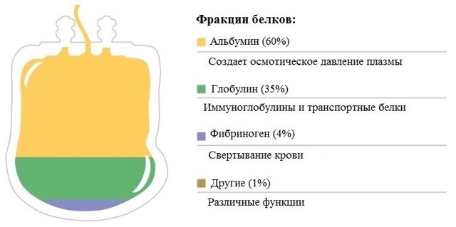 Симптомы и причина низкого белка в крови
