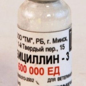 Бициллин-3 - инструкция по применению для человека