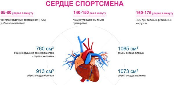 Физ упражнения при брадикардии - Про гипертонию