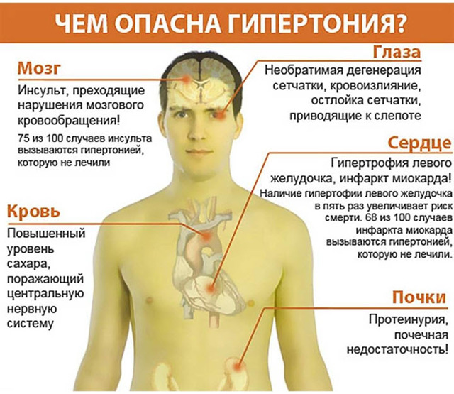 Кардиолог таблетки инструкция: витамины, диета, меню, таблетки