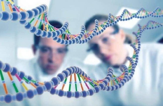 Какая группа крови будет у ребенка: узнаем по таблице