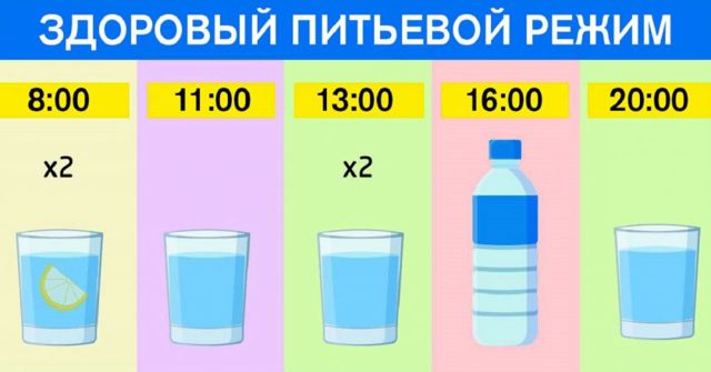 Как улучшить обмен веществ народными средствами