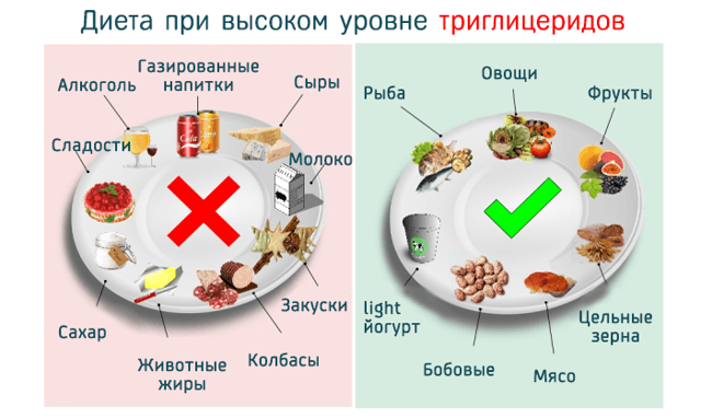 Триглицериды - что это такое и что показывает