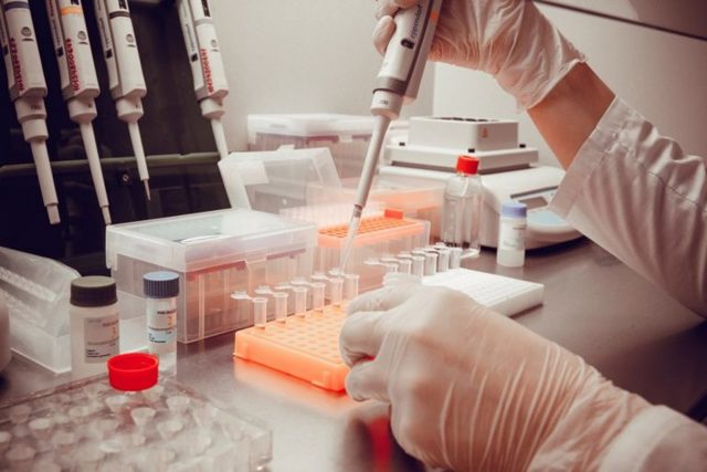 ИФА анализ крови: что такое, почему положительный, расшифровка теста