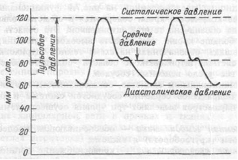 Общее периферическое сопротивление сосудов ( ОПСС ). Уравнение Франка.