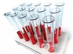 Совместимость групп крови