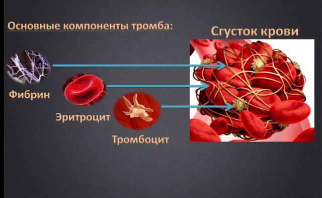Анализ крови — Расшифровка анализа крови на PLT, показатели и норма