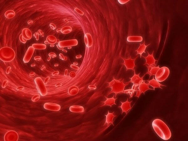 Эритроциты в крови повышены: причины, последствия и профилактика
