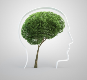 Ишемический инсульт - причины, симптомы, диагностика и лечение