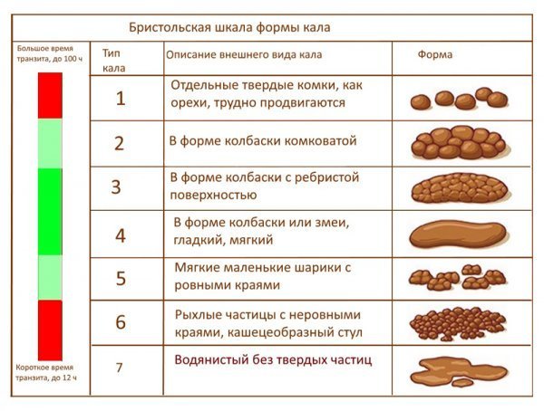 Виды кала. Бристольская шкала формы кала