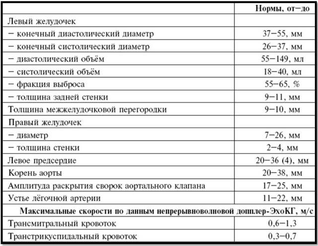 Что показывает ЭХО сердца: расшифровка результатов и нормальные показатели