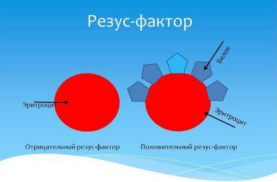 Может ли измениться группа крови человека в течение жизни? - Доктор Кровь